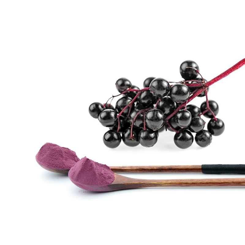Elderberry Fruit Powder