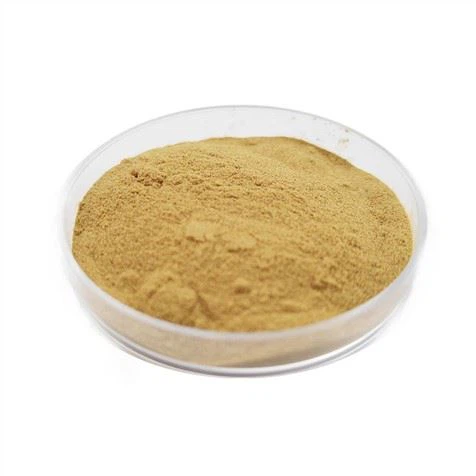 Rosmarinus Officinalis Leaf Extract Powder