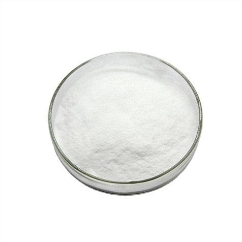 Stevia Leaf Extract Powder